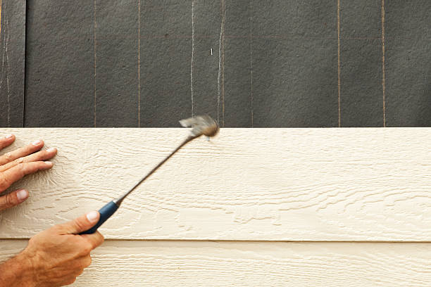 Best Fascia and Soffit Installation  in Laguna Hills, CA